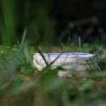 I call this: Camembert in grass