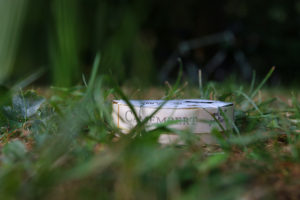 I call this: Camembert in grass