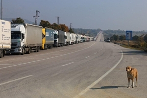 Five-kilometre lorry queue on Turkish side of border at Hamzabeyli. And a hound.